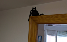 Carregar imagem no visualizador da galeria, Gato con malas intenciones - Imagina Y Compra