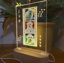 Carregar imagem no visualizador da galeria, Lámpara Mascota 3 Fotos Personalizadas - Imagina Y Compra
