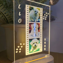 Carregar imagem no visualizador da galeria, Lámpara Mascota 3 Fotos Personalizadas - Imagina Y Compra