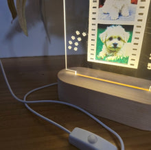 Carregar imagem no visualizador da galeria, Lámpara Mascota 3 Fotos Personalizadas - Imagina Y Compra