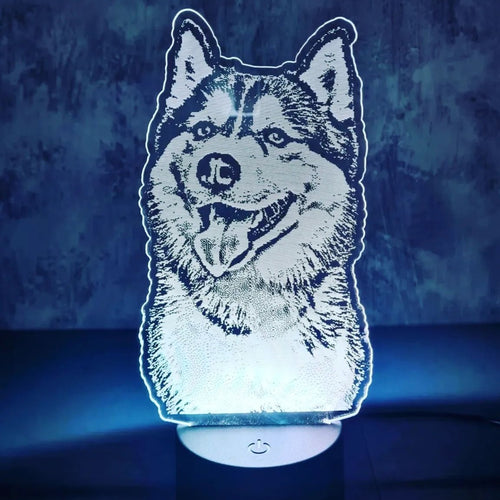 Lámpara Ilustrada con Foto Mascota - Imagina Y Compra