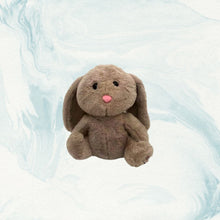 Load image into Gallery viewer, Teddy Plush 
