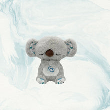 Load image into Gallery viewer, Teddy Plush 
